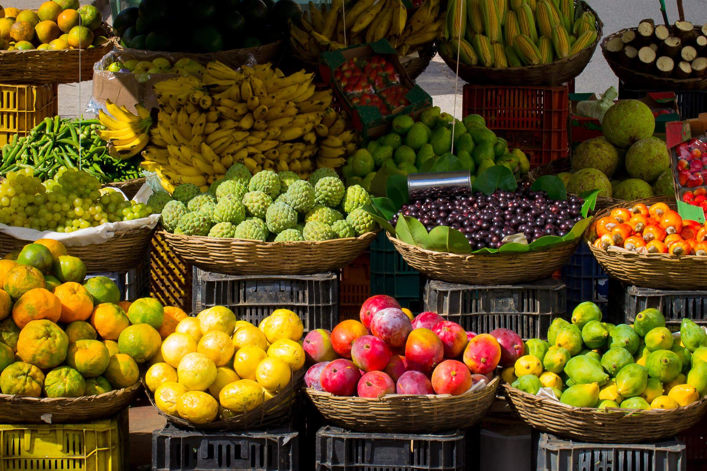 fruits market colors
